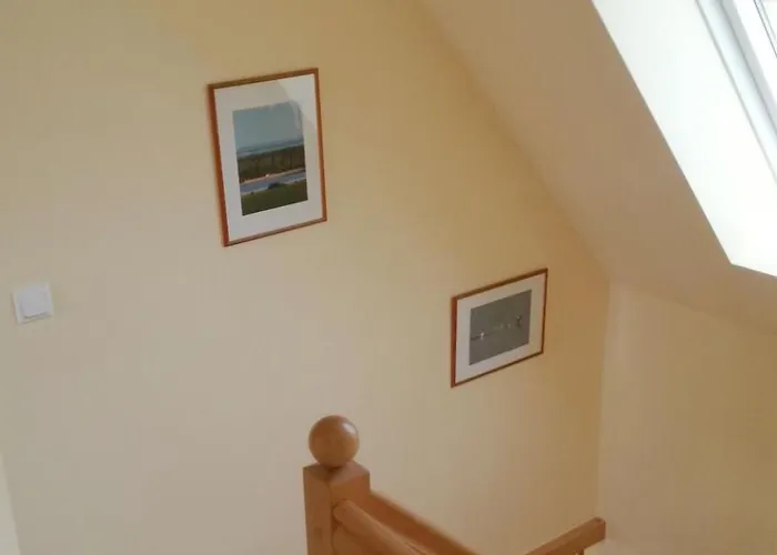 Ferienhaus Anemone By Interhome