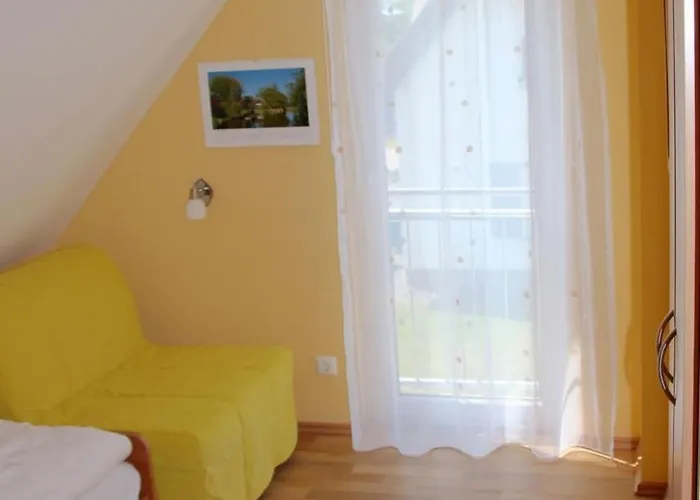 Anemone By Interhome