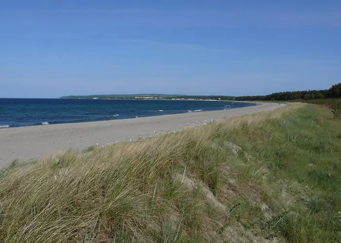 Anemone By Interhome * Glowe