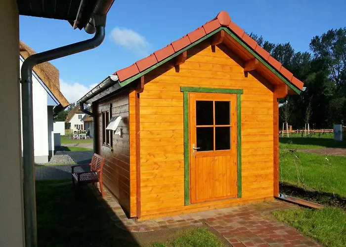 Anemone By Interhome *