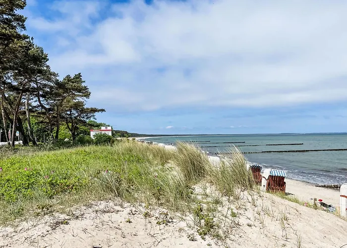 Ferienhaus Anemone By Interhome