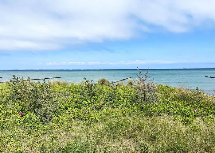 Ferienhaus Anemone By Interhome